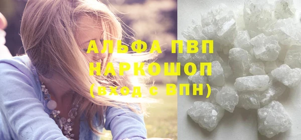 прущие грибы Инта