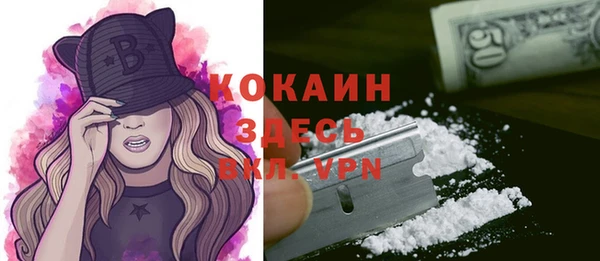 прущие грибы Инта