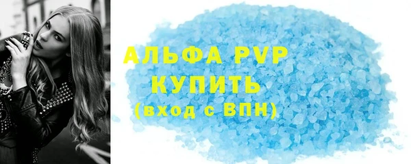гашик Инсар
