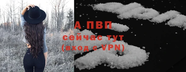 прущие грибы Инта