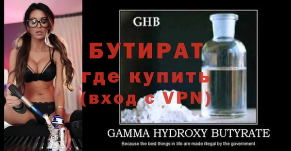 прущие грибы Инта