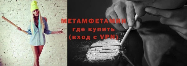прущие грибы Инта