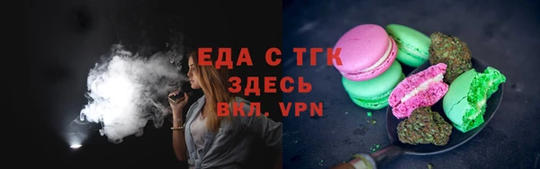 прущие грибы Инта
