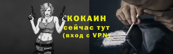 прущие грибы Инта