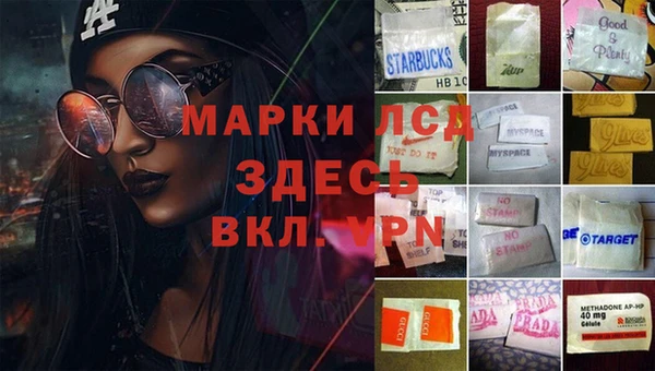 гашик Инсар