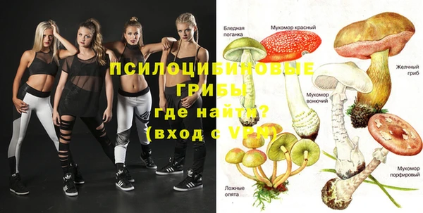 гашик Инсар