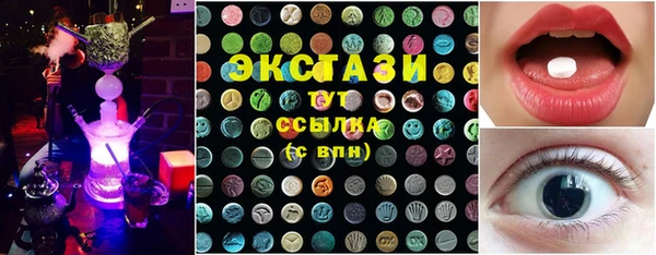 прущие грибы Инта