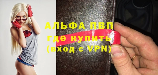 гашик Инсар