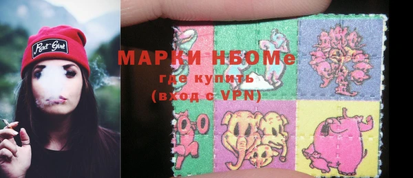 прущие грибы Инта