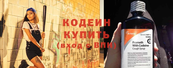 прущие грибы Инта