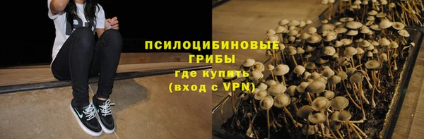 гашик Инсар