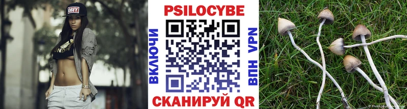 Псилоцибиновые грибы GOLDEN TEACHER  ОМГ ОМГ ССЫЛКА  Арзамас 