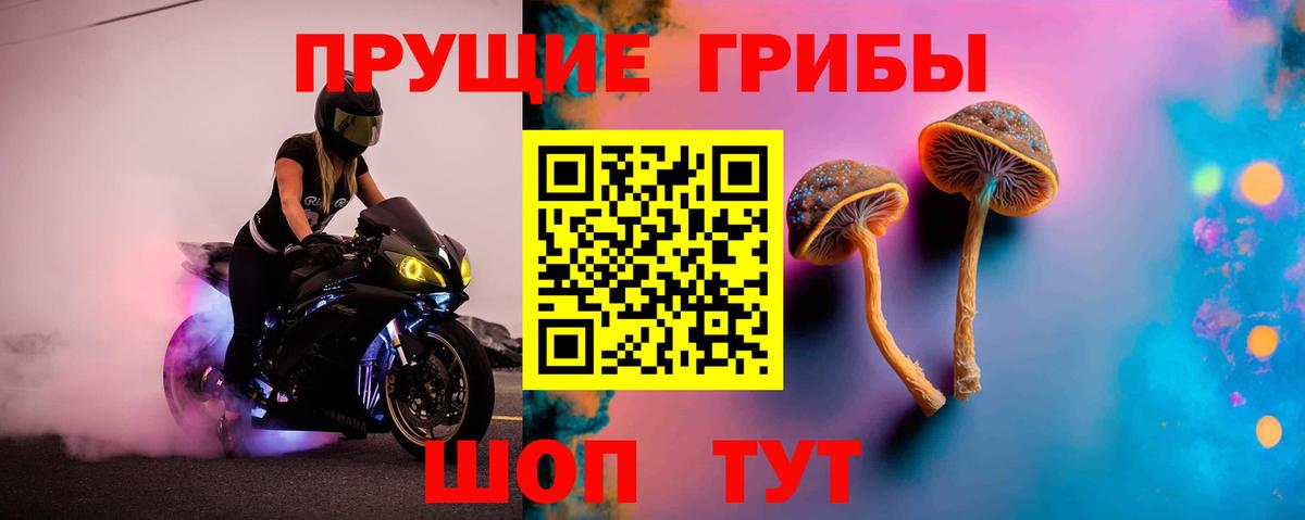 Галлюциногенные грибы Psilocybine cubensis  Вход с VPN  Арзамас  Псилоцибиновые грибы мухоморы 